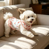 Ein flauschiger weißer Hund in einem roten Rüschenkleid auf einem hellen Sofa.