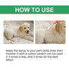Soothing Pet Skin Care Spray for Itch Relief & Fur Regrowth