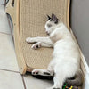 Un gato blanco relajándose en un rascador vertical de sisal natural en interiores.