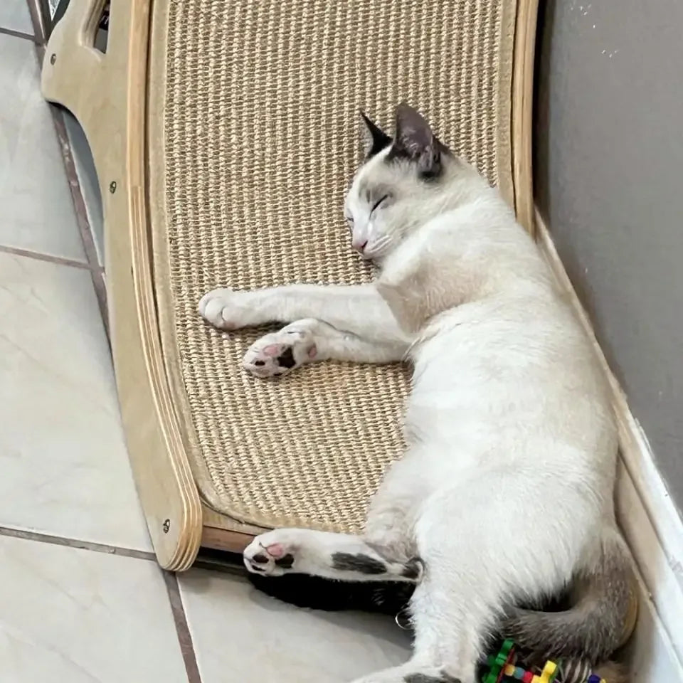 Un gato blanco relajándose en un rascador vertical de sisal natural en interiores.