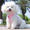 Strawberry Print Dog Harness and Leash Set