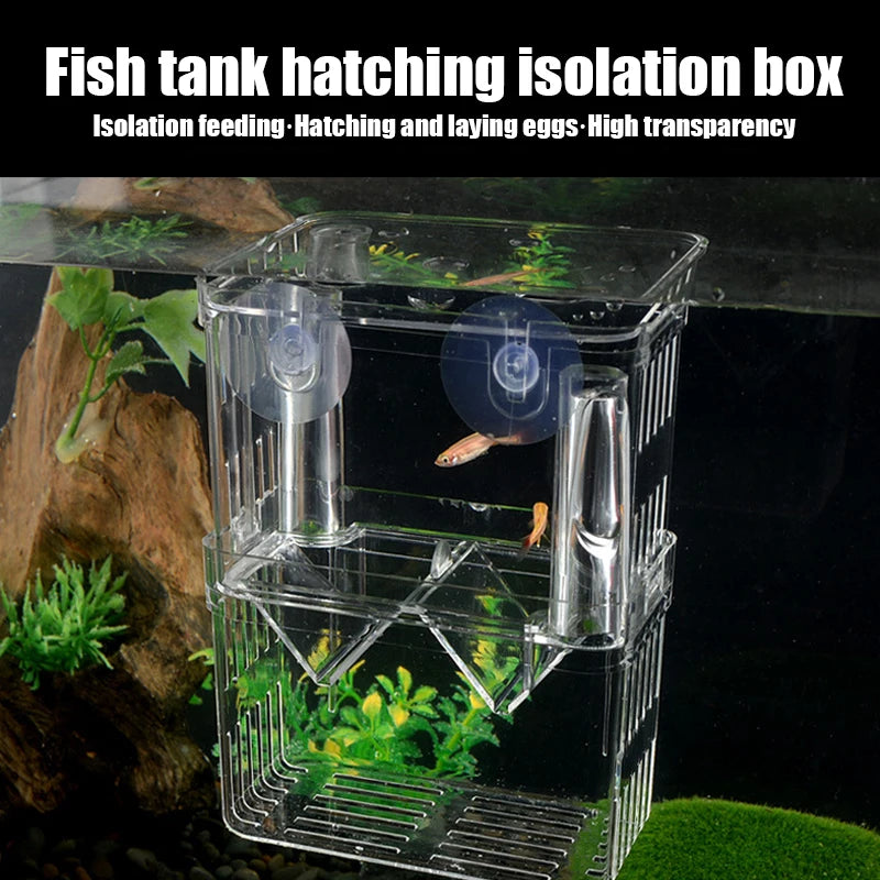 Acrylic Aquarium Breeding Box