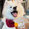 Pendentif Capsule Souvenir en Fourrure de Lapin
