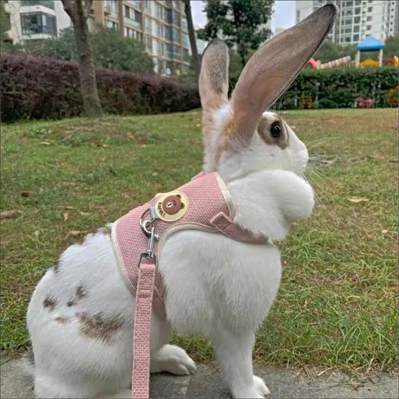 Adjustable Linen Rabbit Harness and Leash Set with Padded Comfort