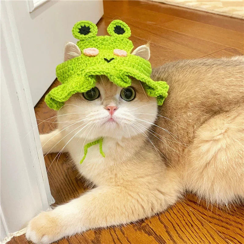 Un chat blanc duveteux portant un bonnet tricoté vert vif avec des accents roses, allongé sur un plancher en bois.