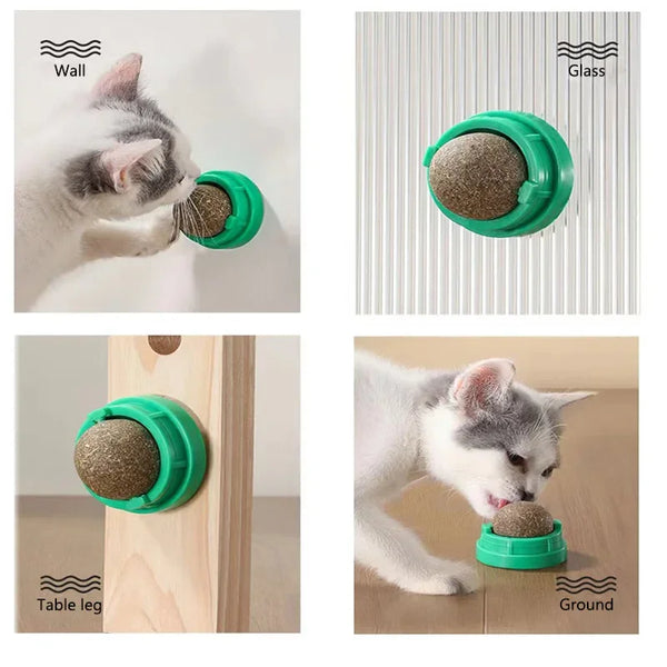 A cat plays with a green ball toy mounted on a wall, glass, and table leg.