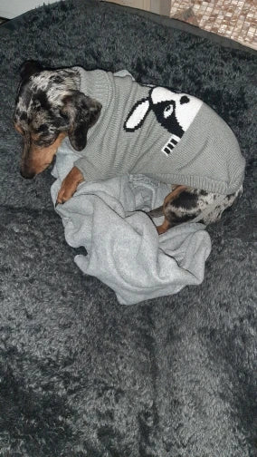 سترة كلب محبوكة دافئة للكلاب الصغيرة والمتوسطة