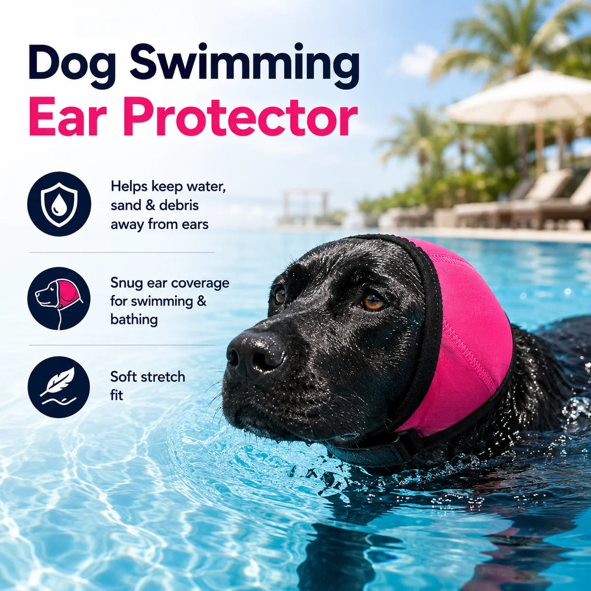 Ein schwarzer Hund mit pinker Ohrschutz schwimmt in blauem Wasser.