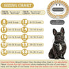 Luxury Crystal Cuban Chain Cat Collar with Safety Buckle