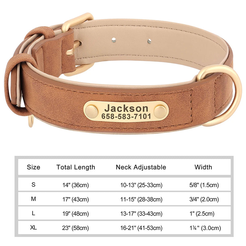 Personalisiertes Leder-Hundehalsband mit graviertem ID-Tag