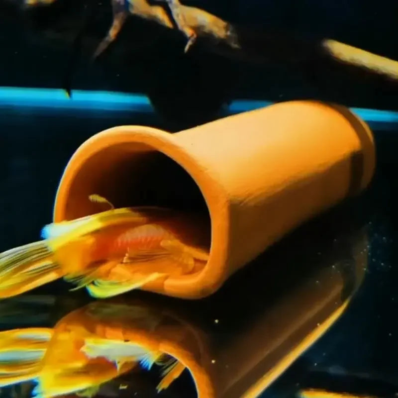 An orange ceramic aquarium breeding cave providing shelter for shrimp, with a reflection on the surface below.