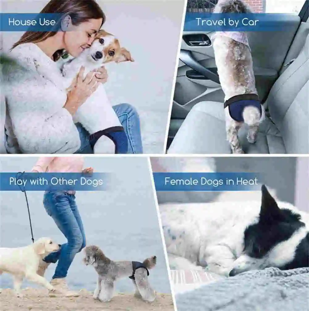 Reusable Washable Dog Diapers with Absorbent Pads for Female Dogs in Heat