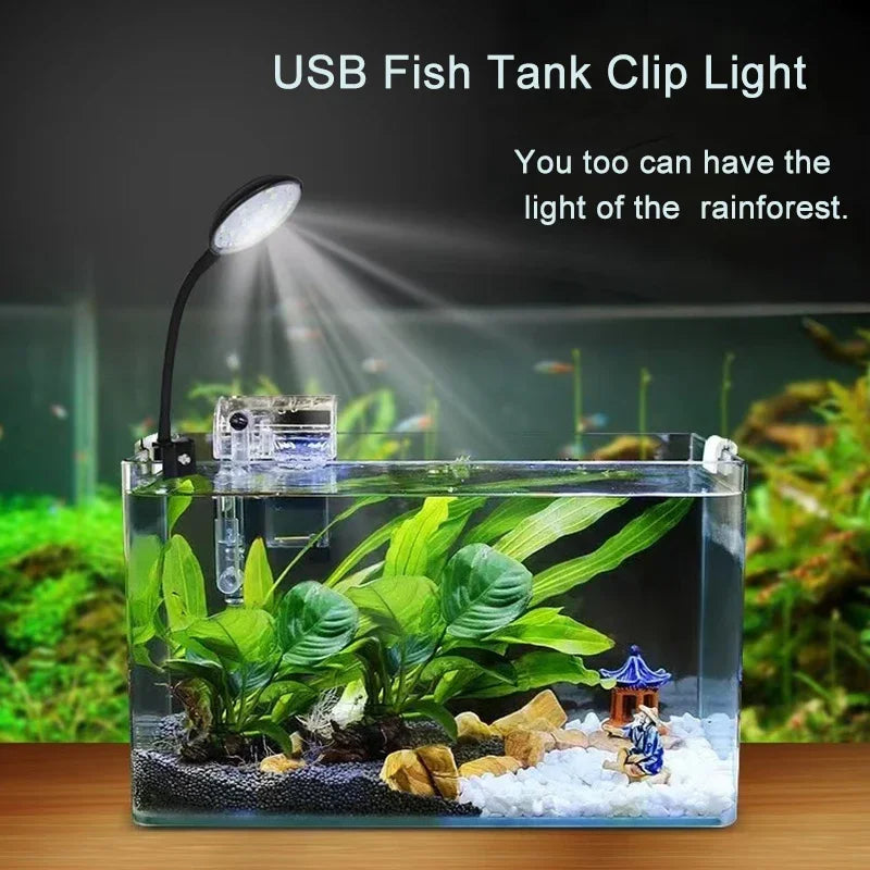 A USB fish tank clip light illuminates lush green aquatic plants and gravel in a glass aquarium.