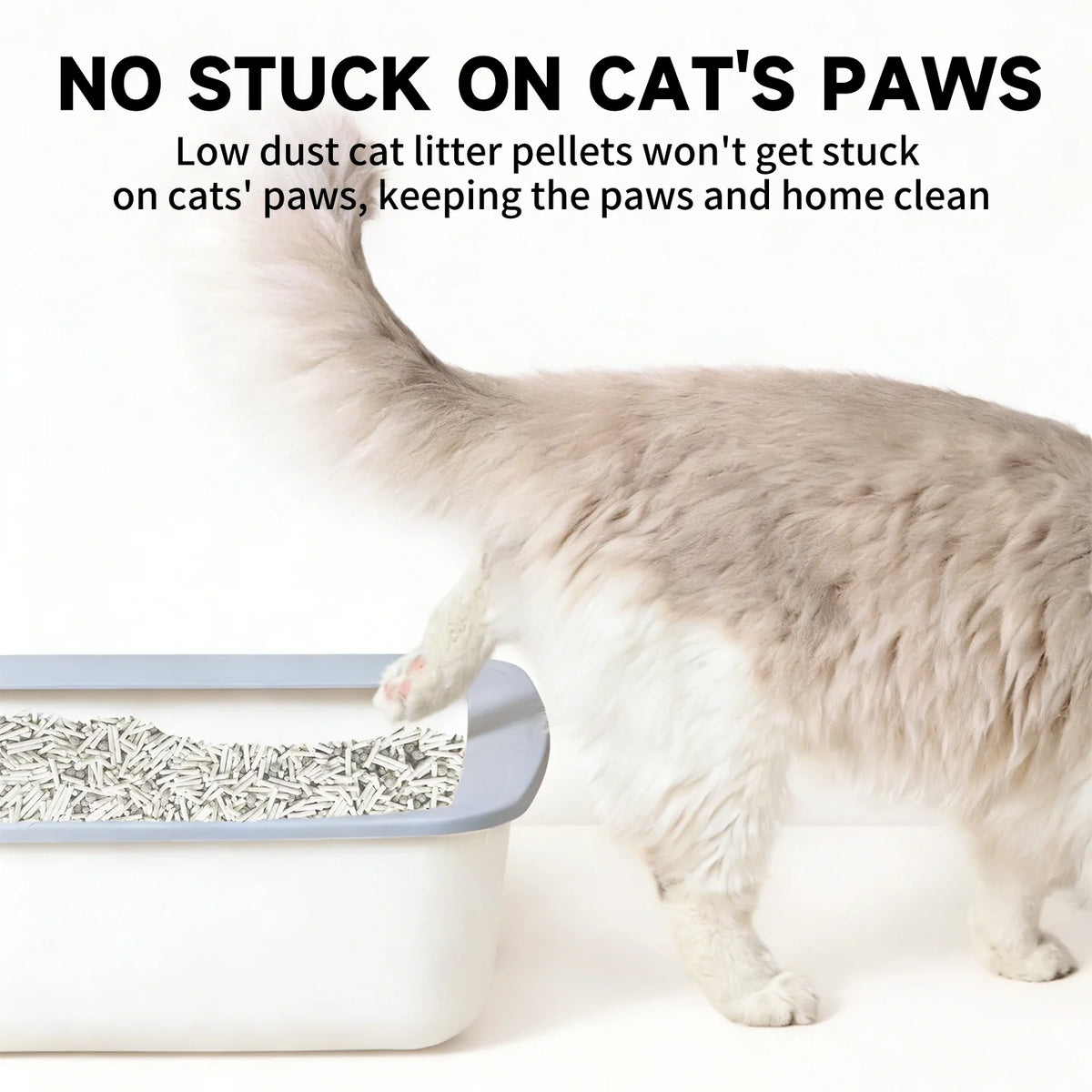 Tofu Cat Litter – Quick Clumping, Deep Deodorizing, Natural & Fresh