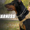 Tactical Dog Harness with Reflective Strips for Training and Outdoor Adventures