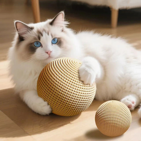 A fluffy white cat is interacting with a natural woven sisal scratching ball on a wooden floor.