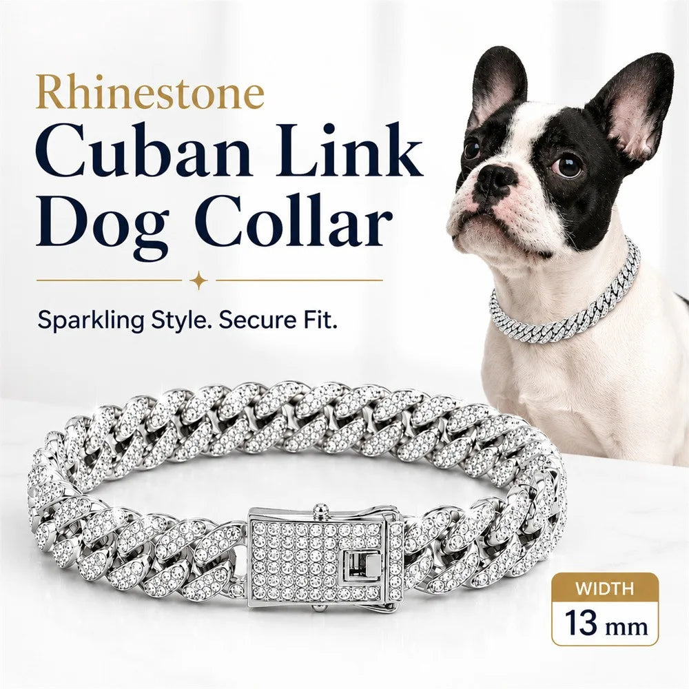 Silberner Strass-Cuban-Kettenhalsband für Hunde neben einem schwarz-weißen Hund.