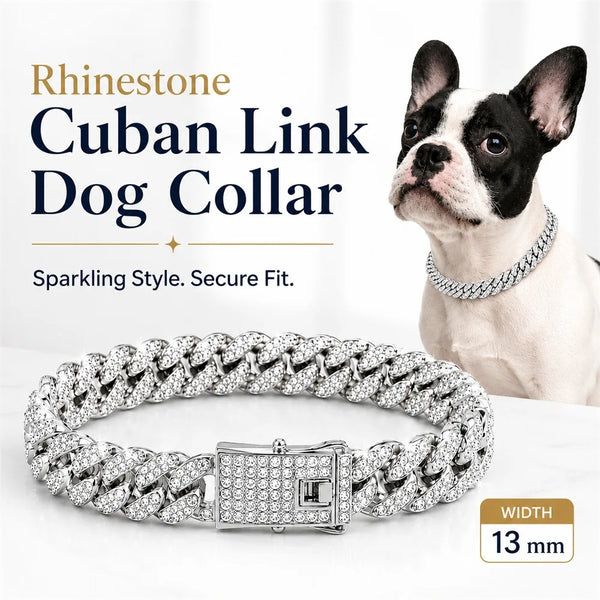 A silver rhinestone Cuban link dog collar is displayed next to a white and black dog.