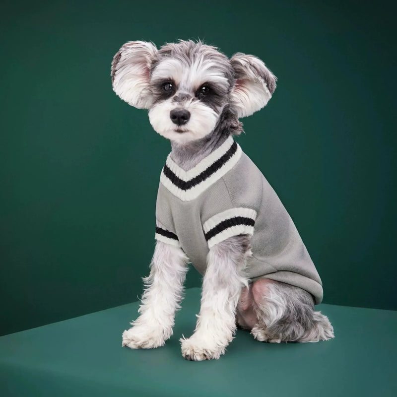 Suéter de Punto Acogedor para Mascotas