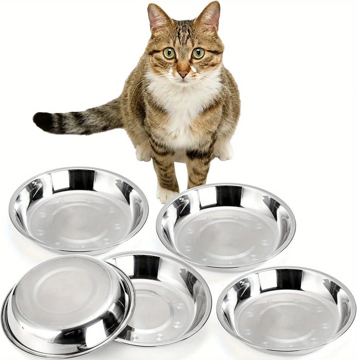 A tabby cat stands next to a set of five shiny stainless steel cat bowls.