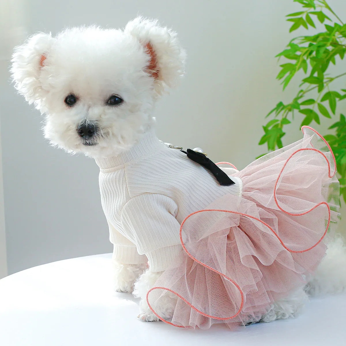 Tutu Princess Dog Dress with Lace Trim