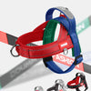 Colección de arneses para perros de varios colores para razas pequeñas a medianas, mostrados contra un fondo desenfocado.