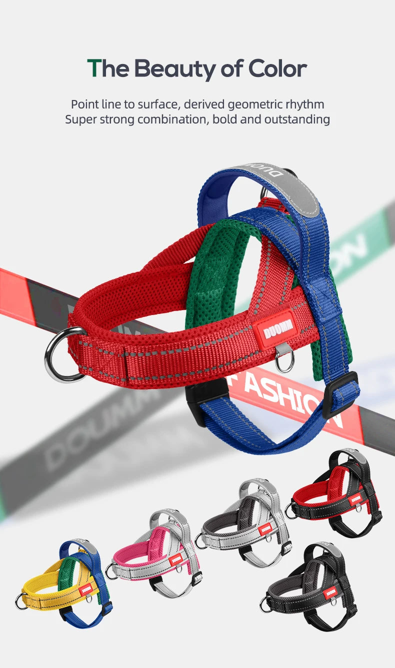 Colección de arneses para perros de varios colores para razas pequeñas a medianas, mostrados contra un fondo desenfocado.