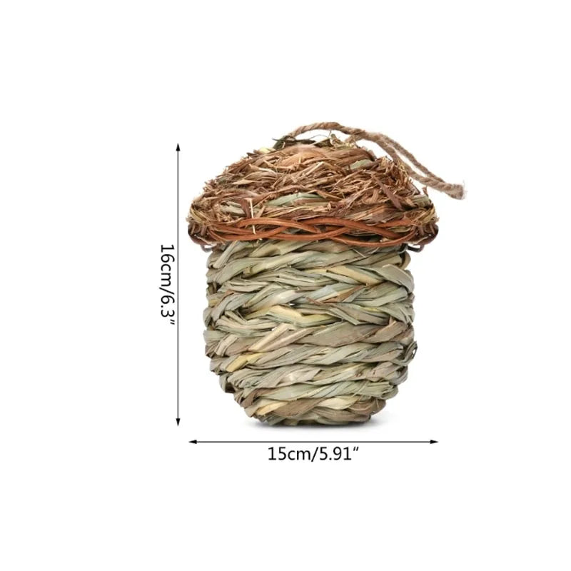 A natural grass hanging bird nest with a woven structure, measuring 15cm long and 16cm high.