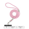 Reflective Nylon Dog Leash with Quick-Release Clip – 150cm