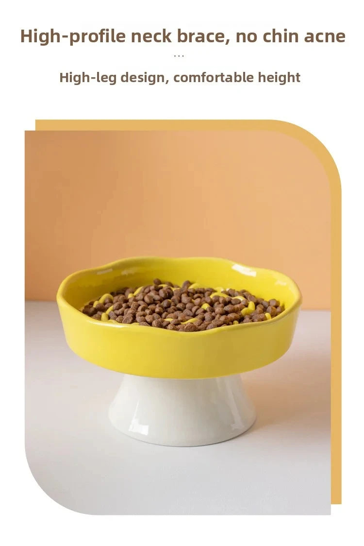 Ceramic Elevated Cat Bowl with Slow Feeder Design