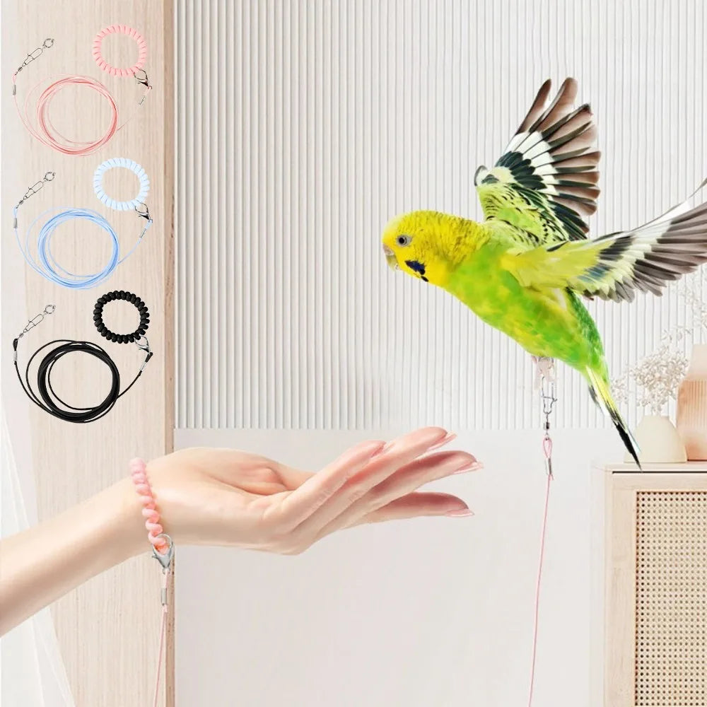 Elastic Parrot Training Leash with Metal Buckle