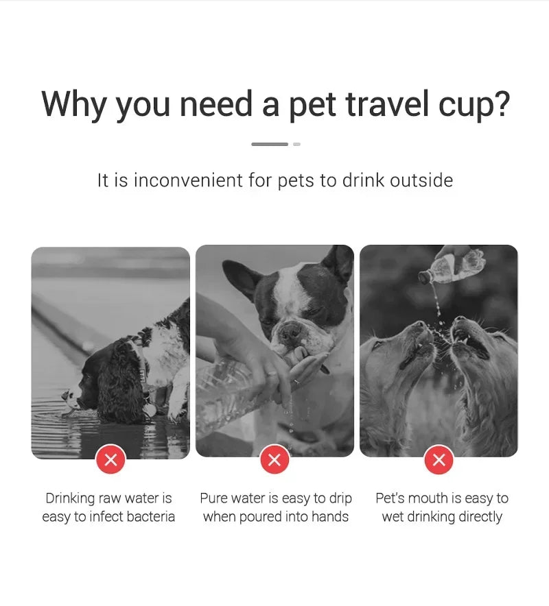 Bouteille d'eau portable pour chien, anti-fuites