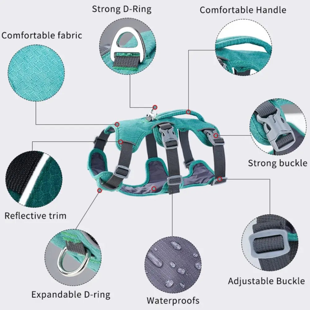 A teal padded dog harness showing features like a strong D-ring, comfortable handle, reflective trim, expandable D-ring, and 