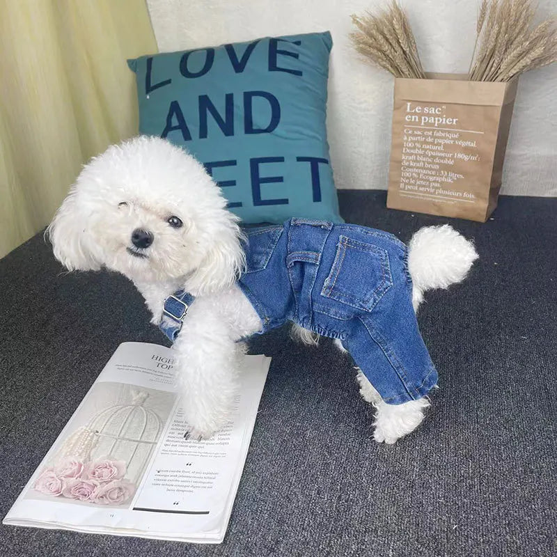 A white dog wearing a denim jumpsuit costume is positioned next to a sign and some dried grasses.