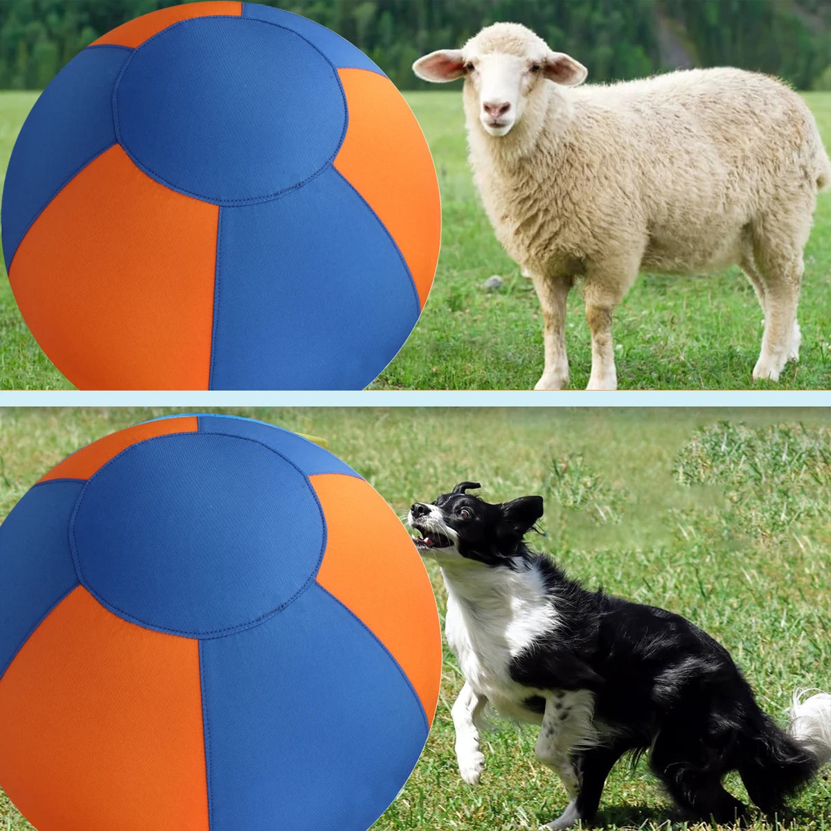 A large blue and orange interactive dog ball is shown next to a sheep in a grassy field.