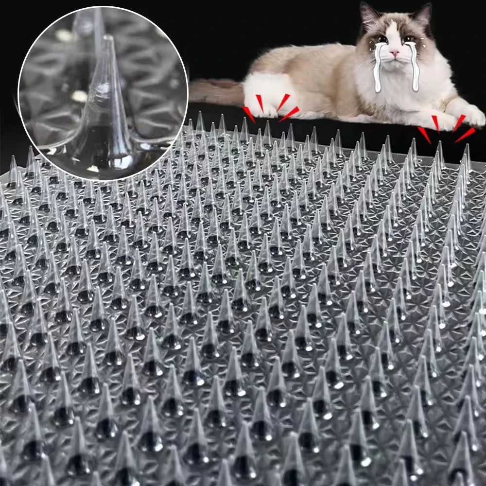 Una alfombra transparente para ahuyentar mascotas con púas afiladas, junto a un gato.