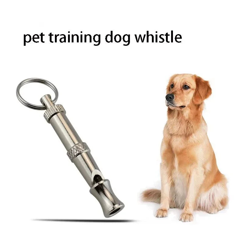A stainless steel ultrasonic dog training whistle attached to a loop, next to a golden retriever.
