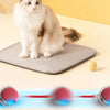 Cat Interactive Ball Toy for Kitten