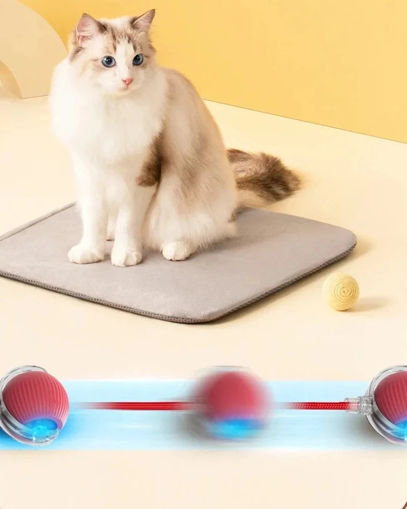 Interactive Rolling Cat Toy with Motion Sensor and Rechargeable Battery