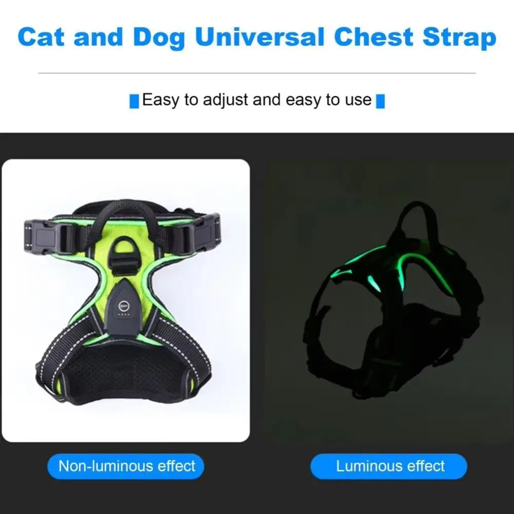 Rechargeable LED Dog Harness with Reflective Strips