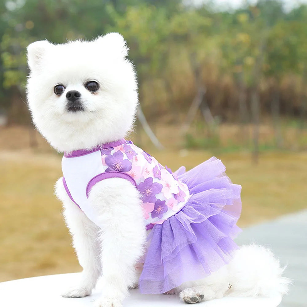 Un chien blanc portant une robe en mousseline de dentelle florale violette et rose.