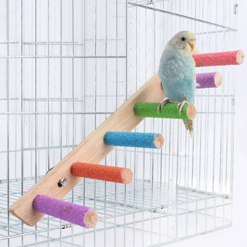 A wooden bird climbing ladder with colorful cylindrical perches inside a wire cage for parrots.