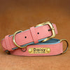 Personalisierte gepolsterte Leder-Hundehalsband mit graviertem Namensschild