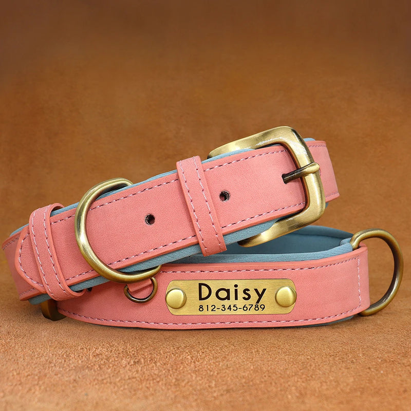 Personalisierte gepolsterte Leder-Hundehalsband mit graviertem Namensschild
