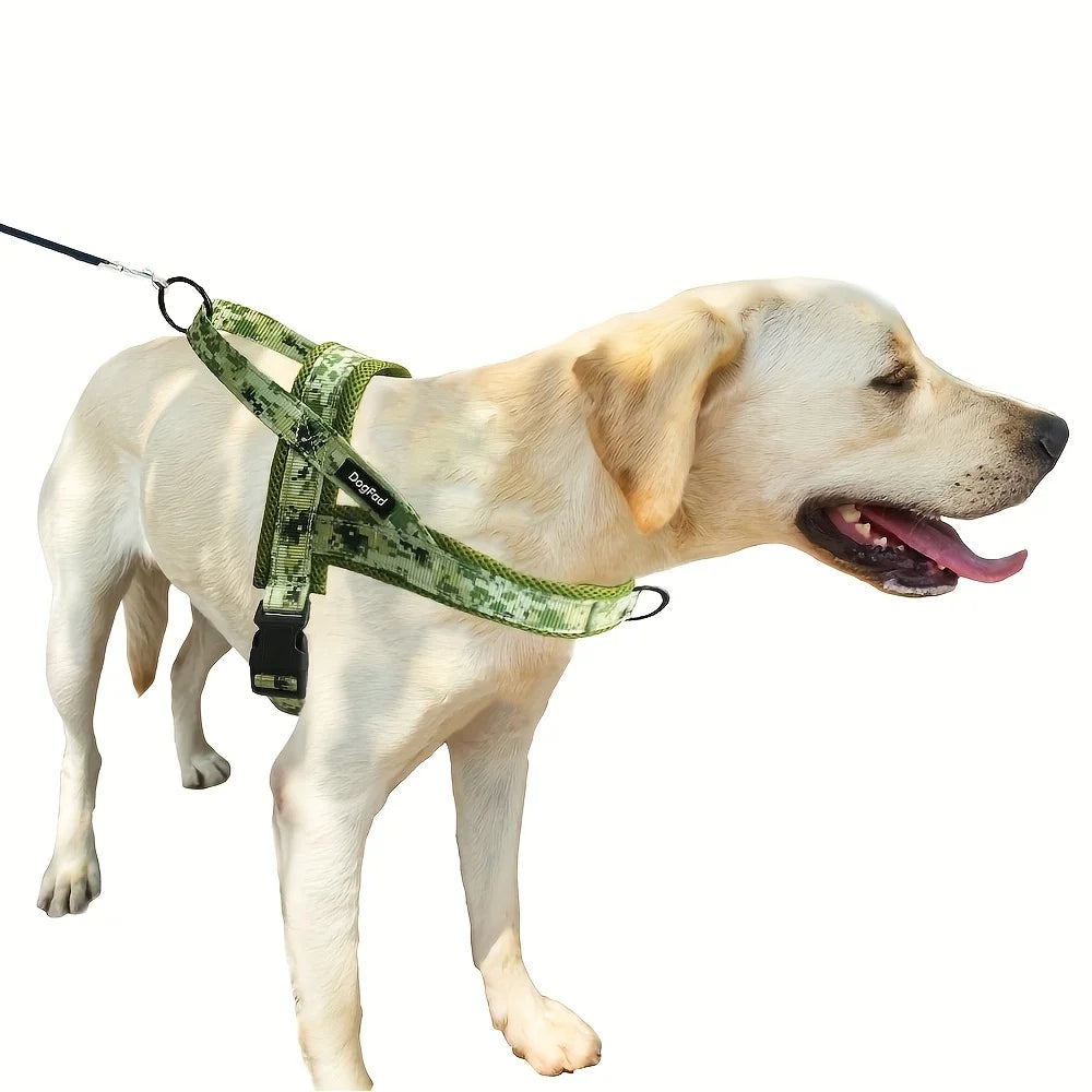 A light-colored dog is wearing a green reflective no-pull harness and is being led on a leash.
