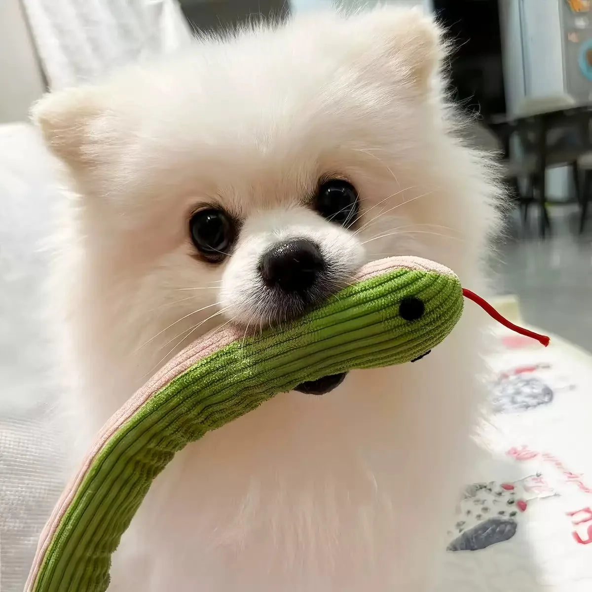Crinkle Snake Toy for Cats and Small Dogs