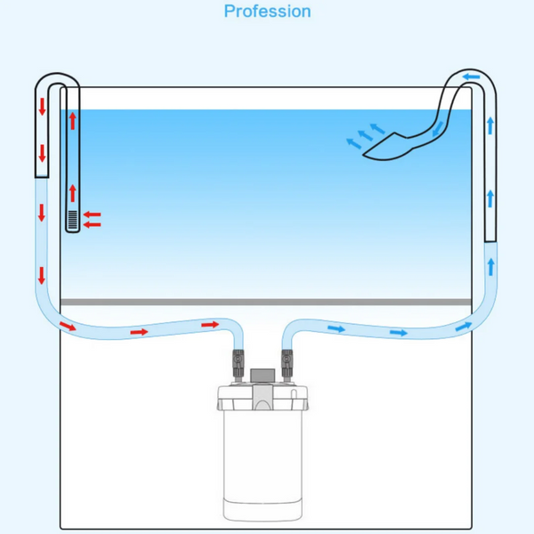 Tube à lis en verre de borosilicate pour aquariums plantés