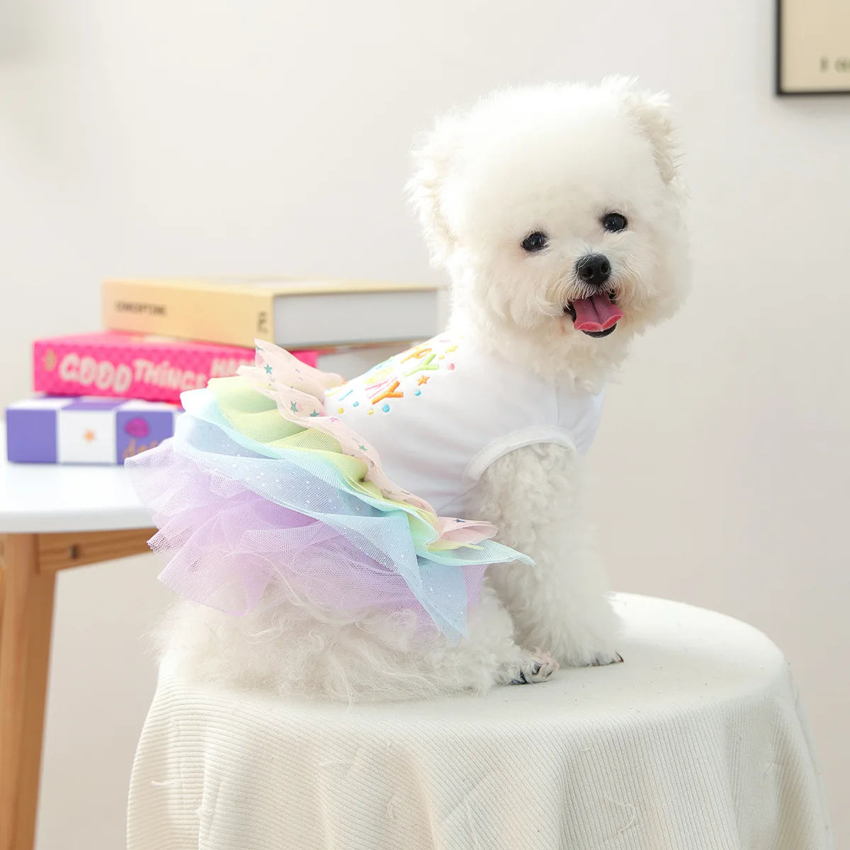 A fluffy white dog wearing an elegant birthday suit with colorful tulle fabric sitting on a white table.