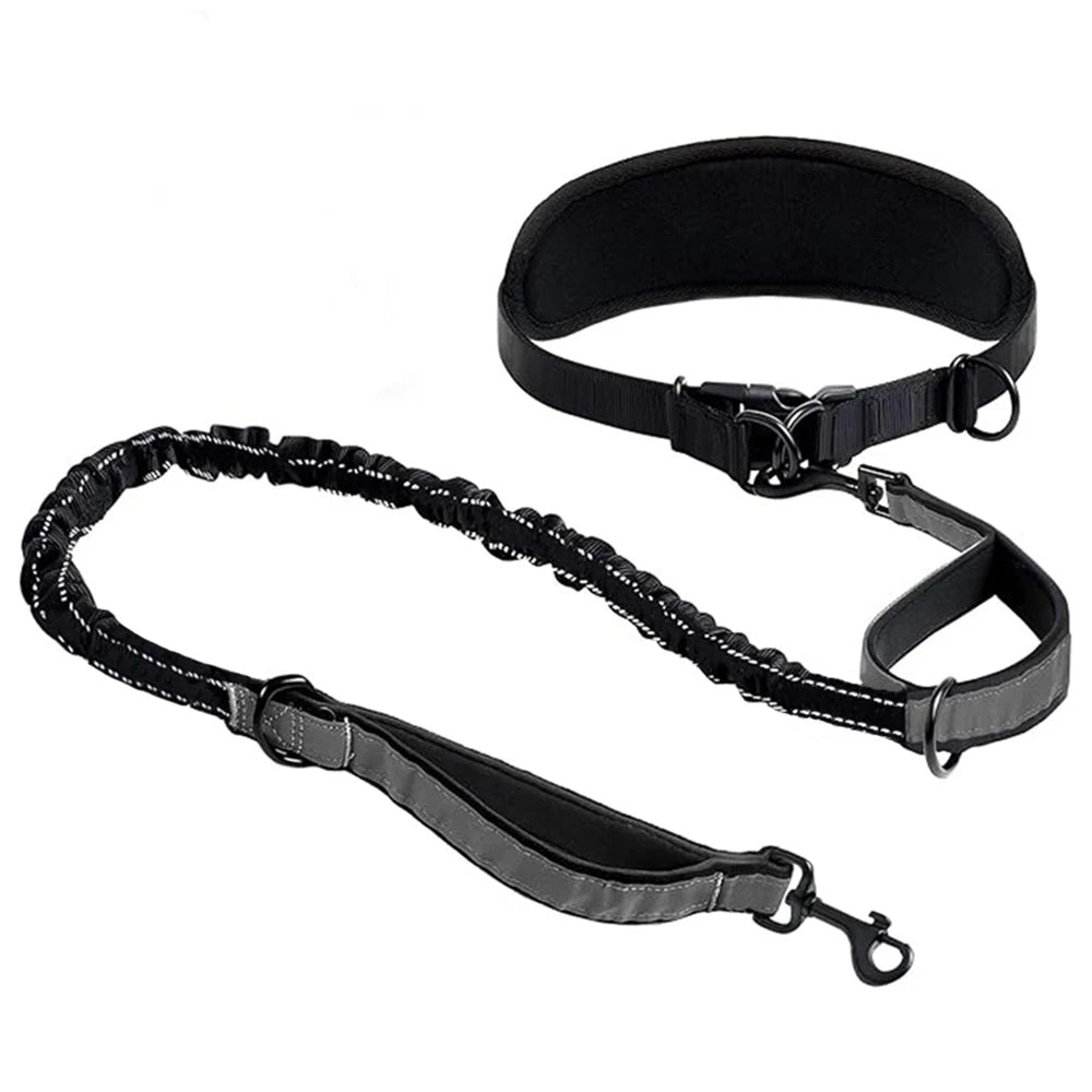 Hands-Free Dog Waist Leash with Lumbar Support and Reflective Bungee
