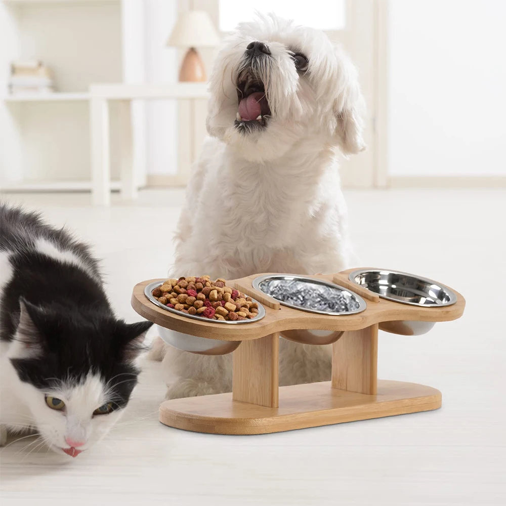 Un distributeur de nourriture pour animaux en bois avec trois bols en acier inoxydable, à côté d'un chien et d'un chat.